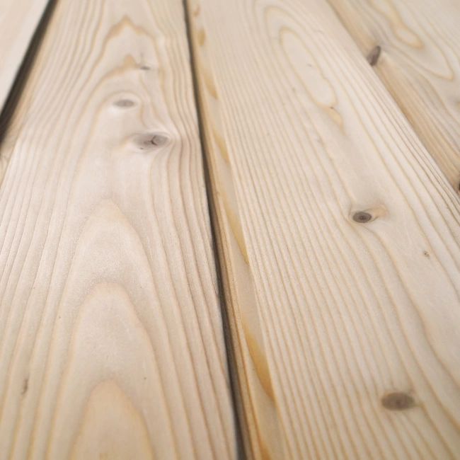 Larix RHO nordamer Lärche 013 mod