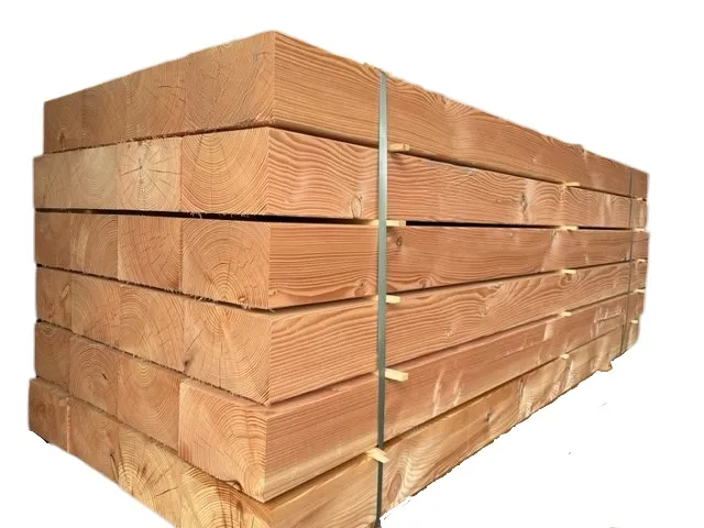 \\app1\B2B-Shop\Produktinformationen\Bilder DIV-PMA\Schwellen L&auml;rche.jpg