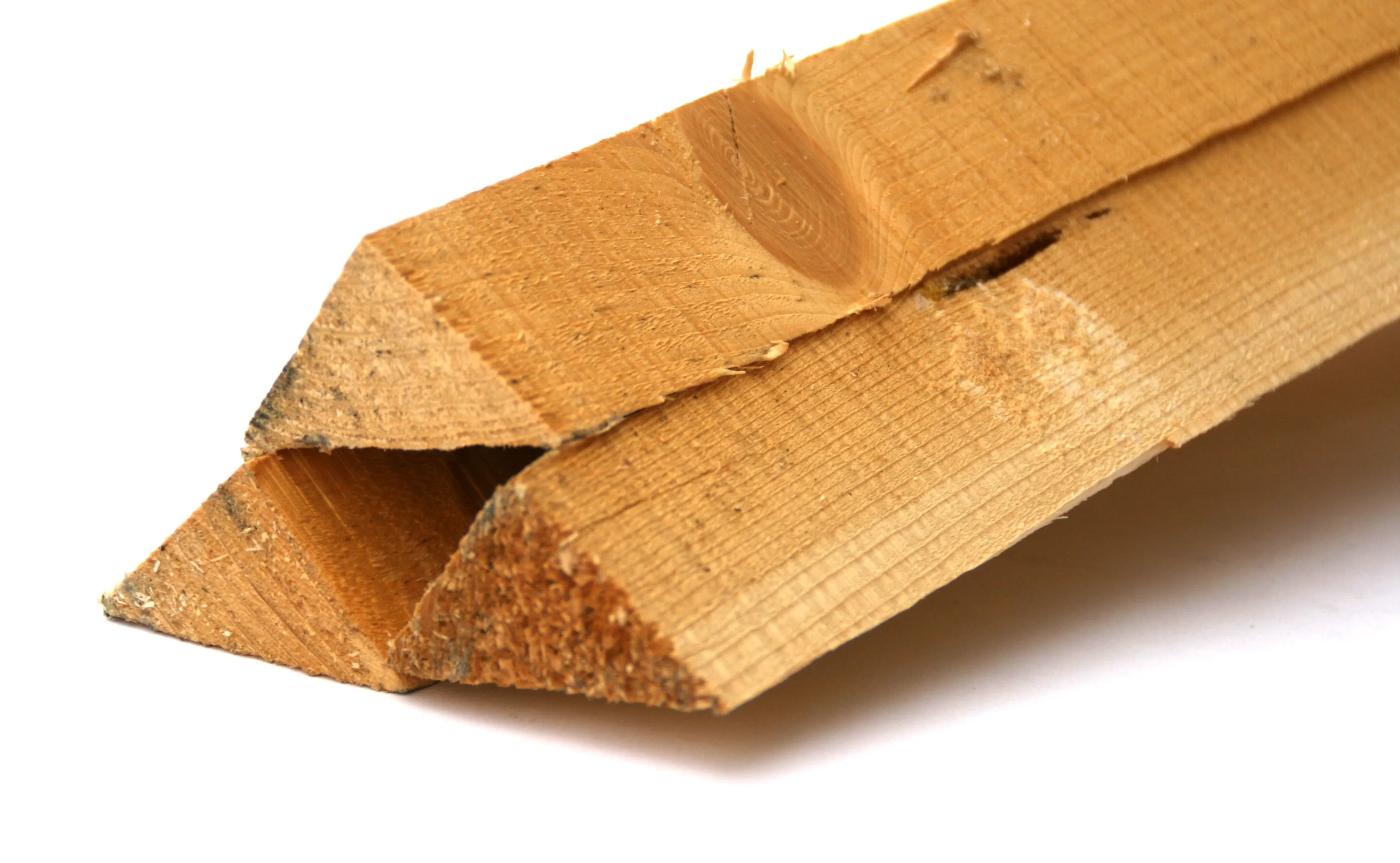 Papplatten, Nadelholz